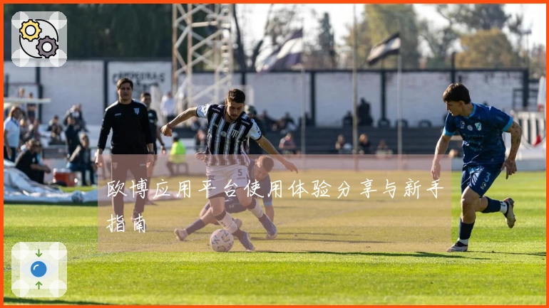 欧博应用平台使用体验分享与新手指南