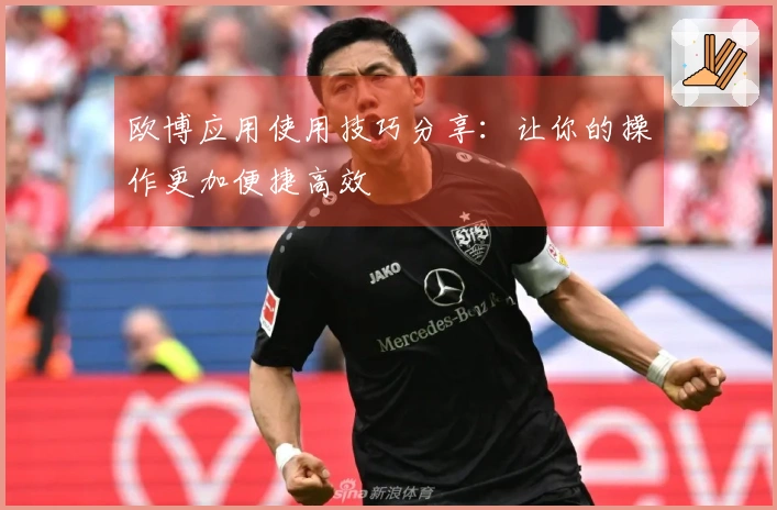 欧博应用使用技巧分享：让你的操作更加便捷高效